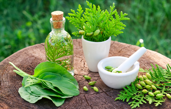 Elixir de vitalidad: recupera tu energía con decisiones pequeñas